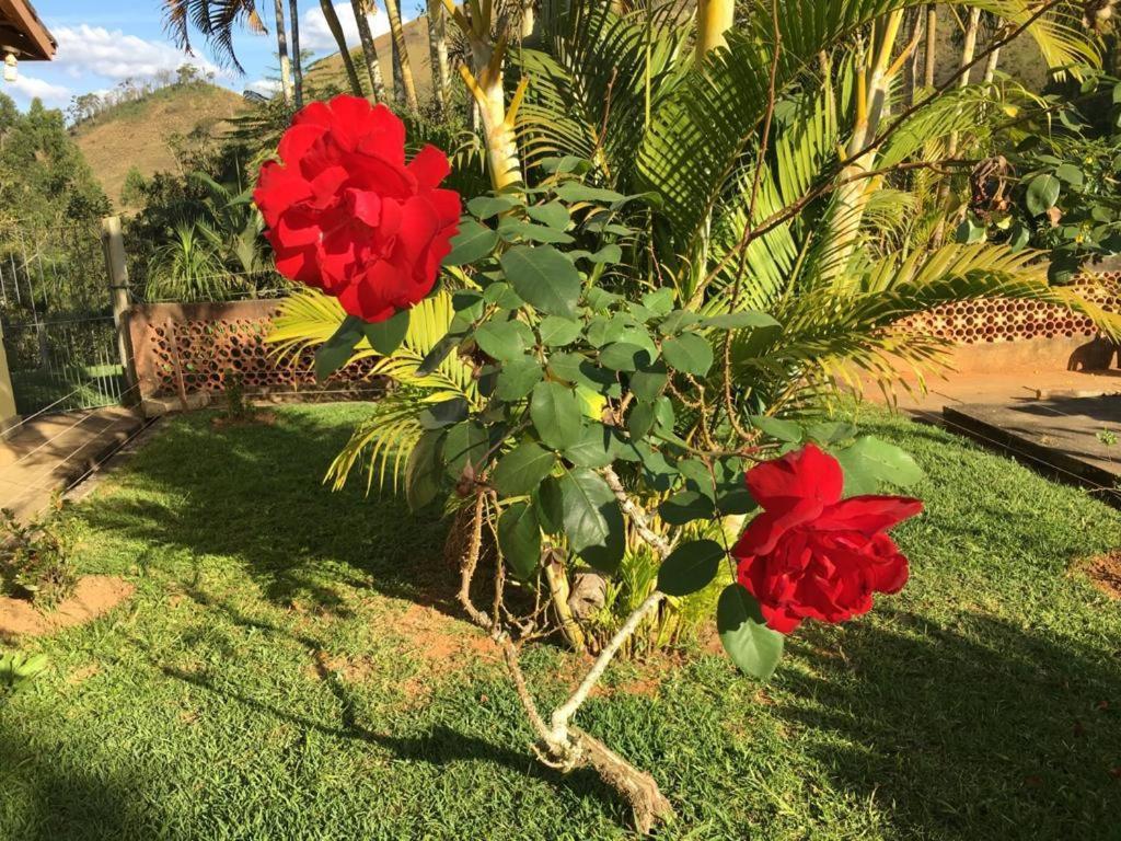 Casa/Sitio Na Serra Em Bom Jardim - Rj Экстерьер фото