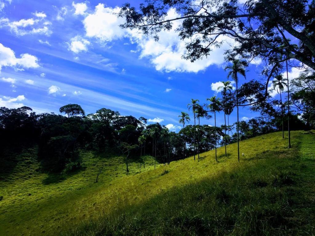 Casa/Sitio Na Serra Em Bom Jardim - Rj Экстерьер фото